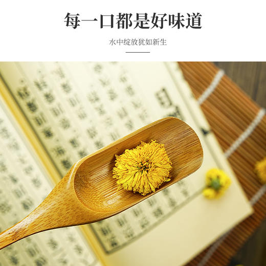 四大怀药之怀菊花  入口甘甜茶汤澄澈透亮 地道选材 从源头把控品质 商品图4