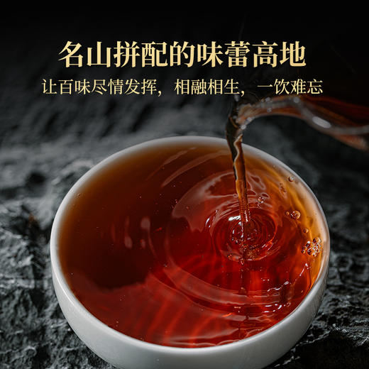 澜沧古茶2024年乌金两砖云南名山古树熟茶砖茶钢琴漆礼盒装125g*2 商品图4
