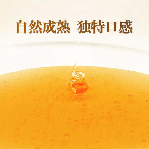 苹果蜂蜜350g 酸甜爽口 老少皆宜 珍贵小蜜源蜜种  结晶蜜介意勿拍 商品图1