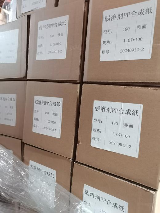 180g户外PP纸 商品图3