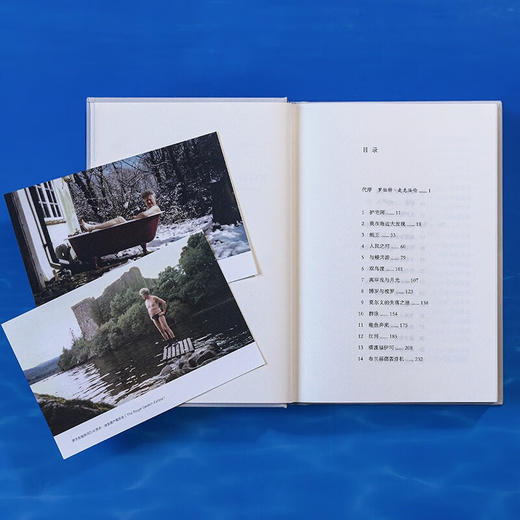 野泳去（自然文学经典之作。跃入荒野，告别内耗。）（英）罗杰·迪金 著 商品图8