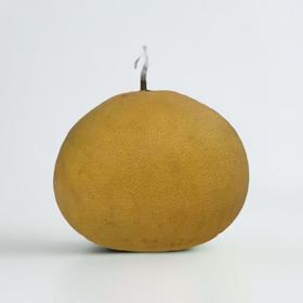 玉环文旦柚 约1.8kg/个