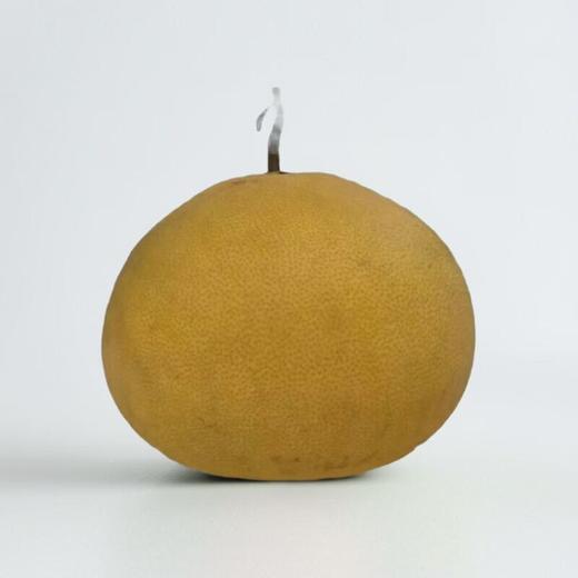 玉环文旦柚 约1.8kg/个 商品图0