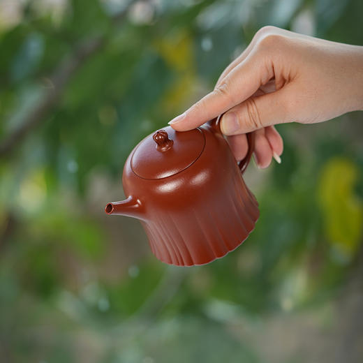 龙德堂陶艺 汤宣武《韶茂》原矿大红袍 200 cc 库存请咨询客服 商品图2