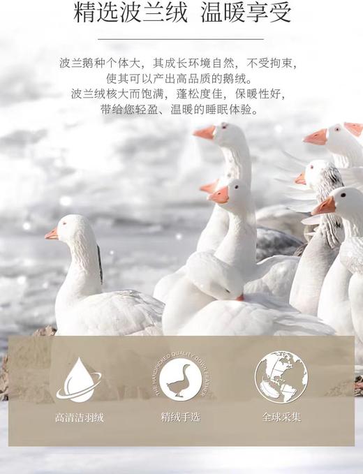 whinny/惠谊波兰进口绒95%绒繁花蓬松保暖鹅绒春秋被冬被羽绒被 商品图3
