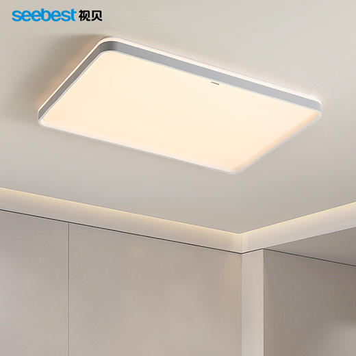 锦运长方-客厅灯 商品图0