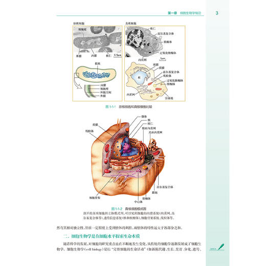 细胞生物学（第4版）国家卫生健康委员会十四五划教材 全国高等学校教材 供八年制及5+3一体化临床医学等专业用 9787117368445人民卫生出版社 商品图4