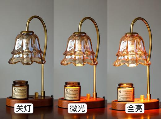 现货300单，先到先得 |  【铃兰花香薰融烛灯】诗意柔光  相见恨晚的神仙好物 商品图4