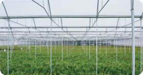 【基地探访】走进方德禄丰基地