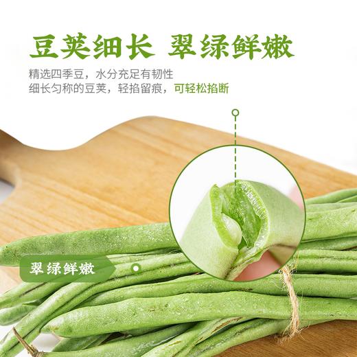 新鲜蔬菜 四季豆（小金豆）500g 商品图3