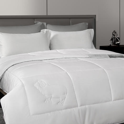 水星家纺简色生活阻螨A类抗菌澳洲羊毛被200*230【分仓直发，72小时发货，周末节假日不发货】 商品图2