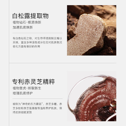Anfany伊芳妮白松露胶原酵母精华油 抗皱紧致 充盈肌底 淡化细纹 重拾紧致肌肤 商品图2