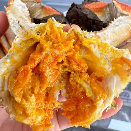 阳澄湖大闸蟹礼盒顺丰快递包邮下单从北京发货 商品图6