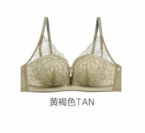 【海信嘉年华】安莉芳【限时买一送一】E-BRA【意境东方系列】轻薄蕾丝内衣女士小胸聚拢无钢圈立体文胸KB00279 商品图3