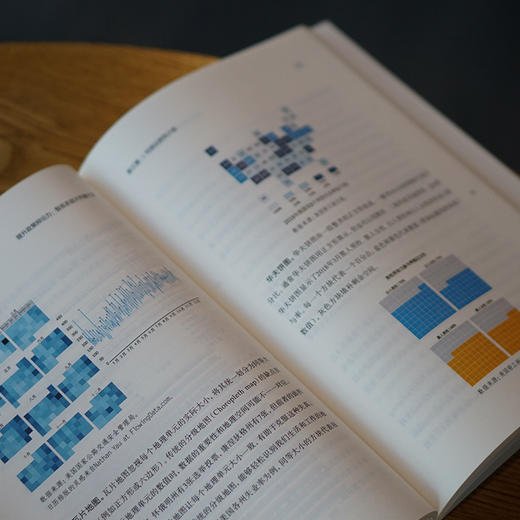 提升政策辩论力：智库多层次传播方法 商品图3