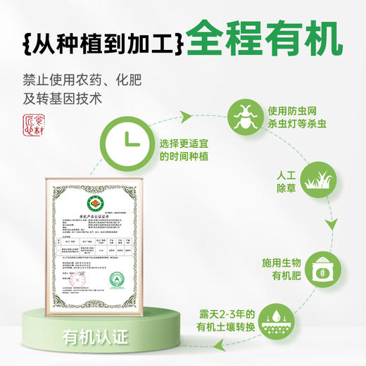 有机绿豆五谷杂粮易沙易煮皮薄颗粒饱满绿豆汤煮粥炖汤真空装400g 商品图3