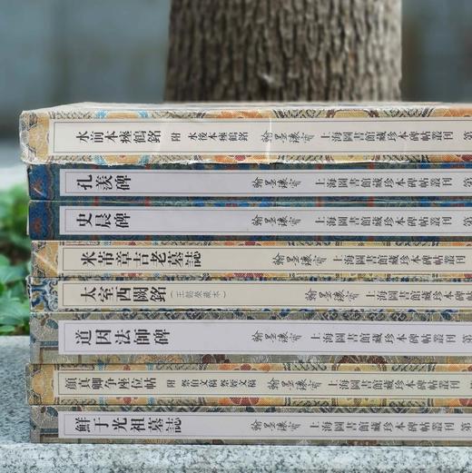 翰墨瑰宝8种，8开，绸布面册页装，上海图书馆编，上海古籍出版社2017前后出版，每种仅印500册。 商品图1