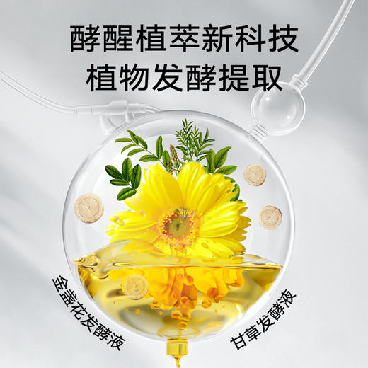 【无忧试用】安质5代柔顺强韧洗护套装 安质4代洗发露 丰盈头皮精华 清盈洗发露 去屑 控油 柔顺 防断发 商品图3