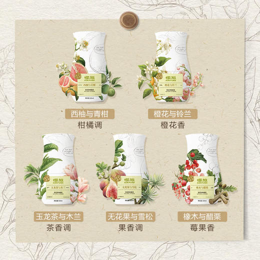 MM 山姆 椰放（Air Funk）空间净味香氛 320ml*5 商品图4