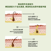 尊荣防脱洗发水 商品缩略图4