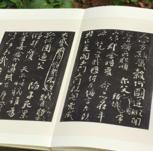 翰墨瑰宝8种，8开，绸布面册页装，上海图书馆编，上海古籍出版社2017前后出版，每种仅印500册。 商品图7