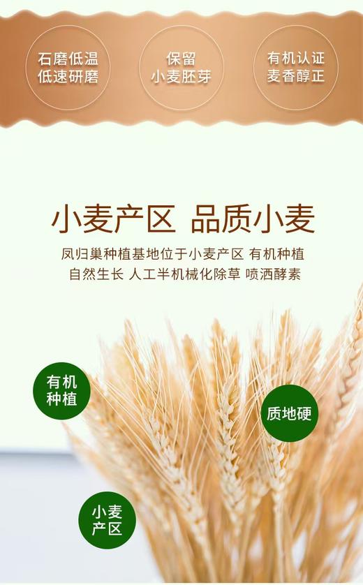 有机石磨面粉  保留小麦胚芽  有机种植  麦香醇正  //  凤归巢 商品图2