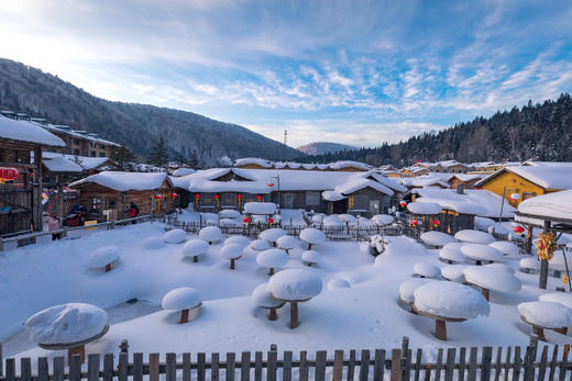 东北•冰雪奇缘：查干湖冬捕、丹顶鹤、雾凇岛、长白山、镜泊湖、雪乡、东北虎、伏尔加庄园8天——11天摄影团 商品图1