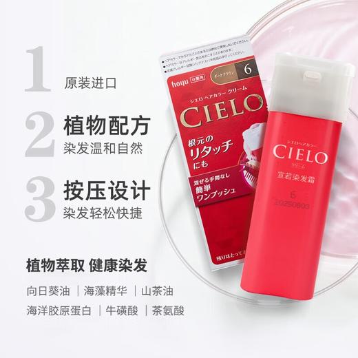 Bigen美源宣若 植物遮盖白发膏按压式 40g*2（2号浅棕色/3C号焦糖棕/3RO号玫瑰棕/3S号时尚棕/3号亮棕色/4号浅栗棕/深纯棕色 5P/6号深栗棕） 商品图0