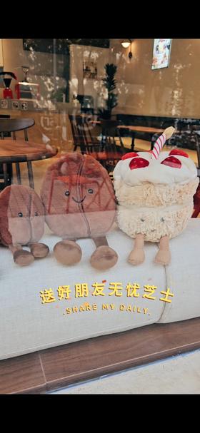 【全国发】理想国的无忧芝士