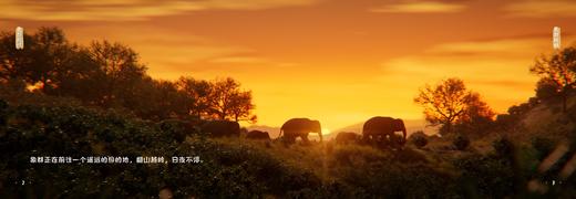 落花灯   泡泡抱抱   象群挽歌    小羊裁缝铺   捉迷藏     抱抱心理治愈系列5册套装 商品图8