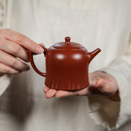 龙德堂陶艺 汤宣武《韶茂》原矿大红袍 200 cc 库存请咨询客服 商品图0