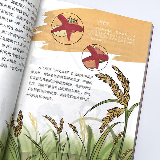 《大国脊梁漫画版》新时代中国孩子必力求的正能量画本！ 商品图4