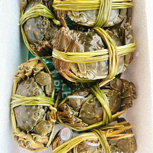 阳澄湖大闸蟹礼盒顺丰快递包邮下单从北京发货 商品图3