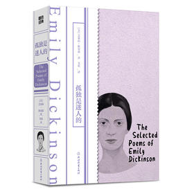 孤独是迷人的 世界名著文学灵魂访客:狄金森诗歌精选集