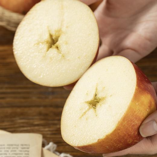 云南大理冰糖心丑苹果|馥郁苹果香，新鲜、爽脆、汁甜 商品图2