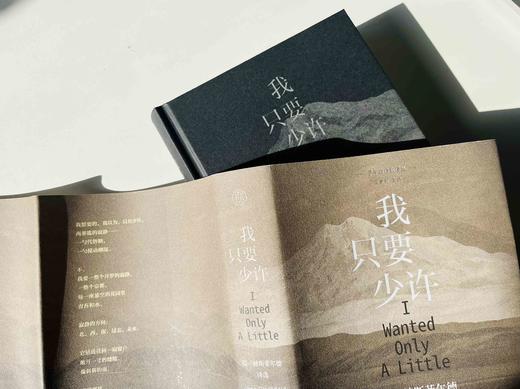 纯粹·  我只要少许 ：简·赫斯菲尔德诗选   简·赫斯菲尔德/著 商品图7