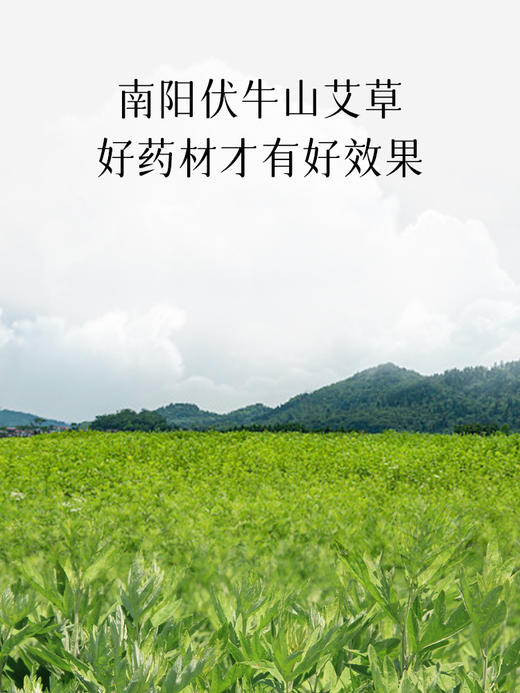 后辰三好艾草足贴调和养肌养护排寒调理睡眠艾灸男女士脚底贴21对 商品图3