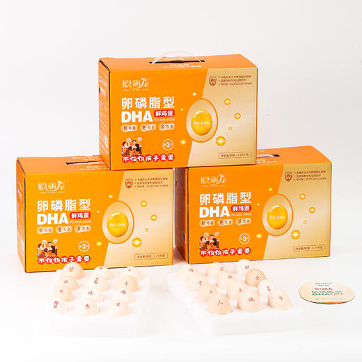 聪明龙 卵磷脂型DHA鲜鸡蛋8盒装，DHA150，外加叶黄素，蛋香浓郁，好吃不腥【周期购8盒】分期发货 商品图0