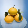果冻橙 1000g/份 商品缩略图0