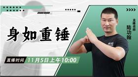 【11月5日】身如重锤