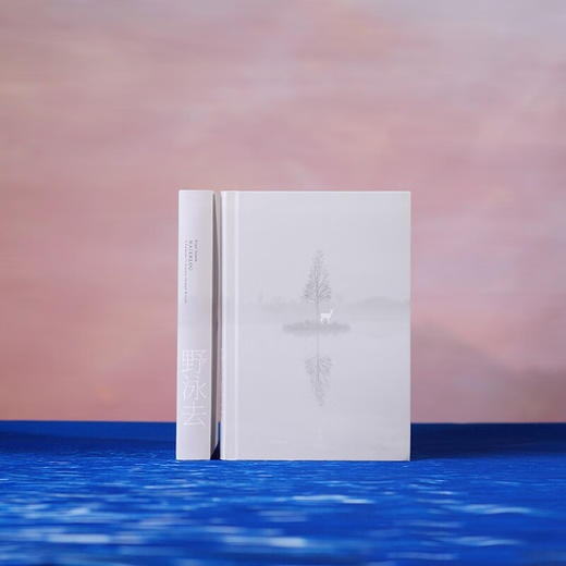 野泳去（自然文学经典之作。跃入荒野，告别内耗。）（英）罗杰·迪金 著 商品图9