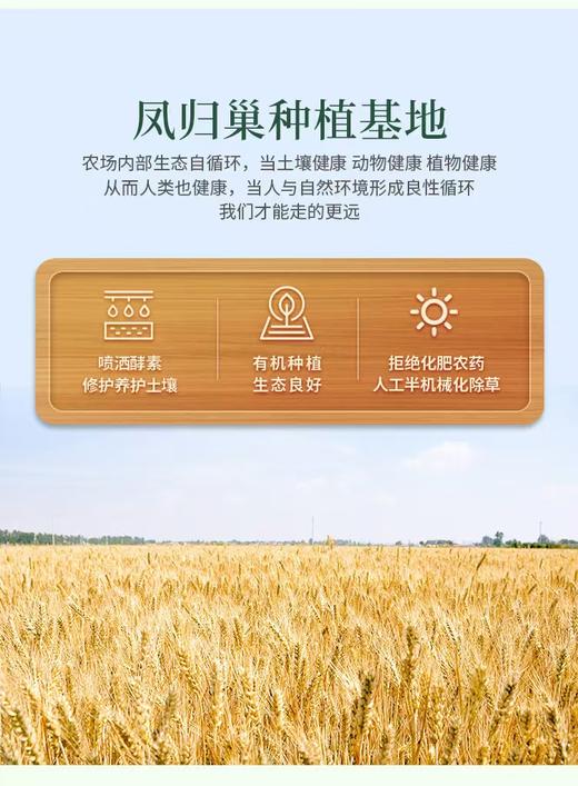 有机石磨面粉  保留小麦胚芽  有机种植  麦香醇正  //  凤归巢 商品图3