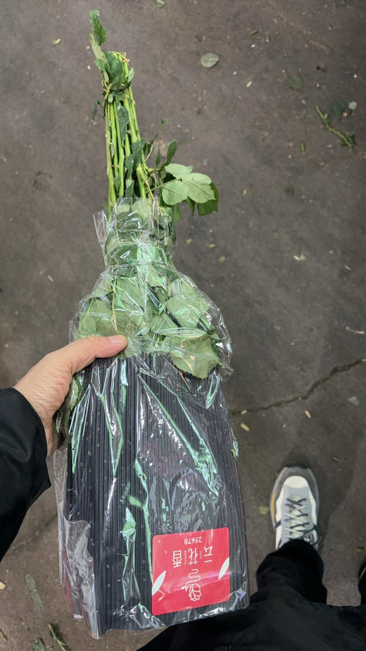 云花香紫霞短杆 商品图2