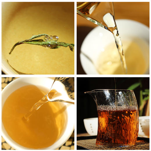 【藏茶季】方守龙老茶仓  2018年春夏秋冬四季白茶白牡丹 官方直供 商品图3