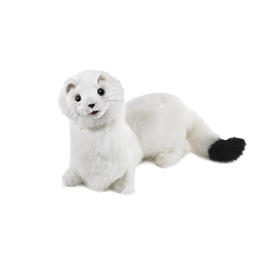 FOLKMANIS 白鼬FOLC3192