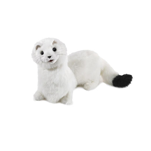 FOLKMANIS 白鼬FOLC3192 商品图0