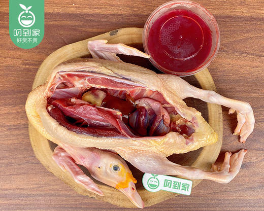 洛江山头水库散养180天本地种正番鸭母（杀完带内脏1.7kg±100g/只） 商品图1