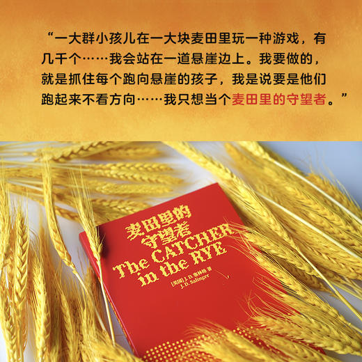 麦田里的守望者（出版70周年纪念版） 商品图7