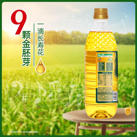 长寿花金胚玉米油1.8L*1瓶装物理压榨一级清淡烘焙食用油植物油 商品图2