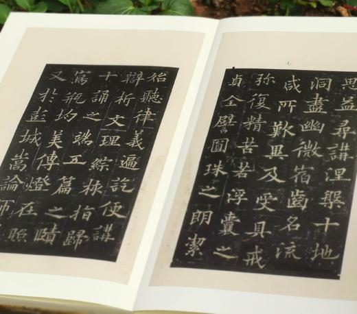 翰墨瑰宝8种，8开，绸布面册页装，上海图书馆编，上海古籍出版社2017前后出版，每种仅印500册。 商品图13